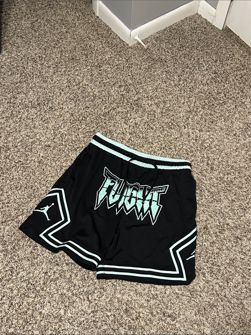 Nike Air Jordan Sport Diamond Dri-Fit Shorts Mint Fight